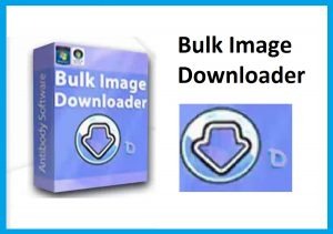 Bulk Image Downloader 6.20 Serial Number Ultimo Download